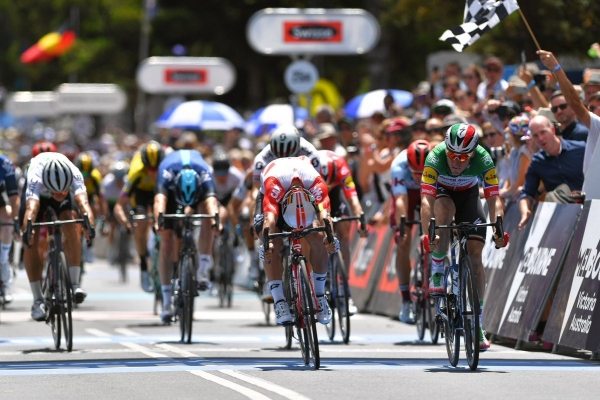 Elia Viviani vyhrl Cadel Evans Road Race 2019