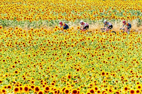 Leto TDF